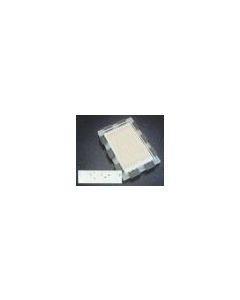 Research Products International Surf-Blot 8.5, 33 Channels, 8.5cm; RPI-145085