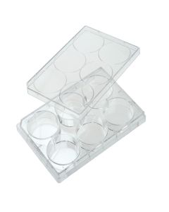 Celltreat 6 Well Tissue Culture Plate W/Lid