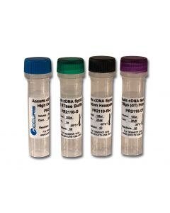 Benchmark Scientific Accuris Qmax First Strand Cdna Synthesis Flex Kit, Sample, 5 Reactions