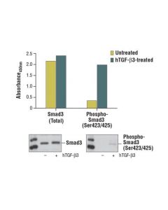 Cell Signaling PathScan Phospho-Smad3 (S; CSIG-12003C