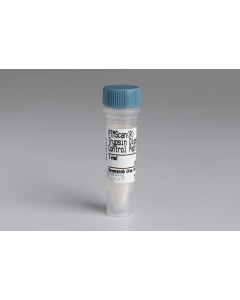 Cell Signaling PTMScan Trypsin Digested; CSIG-12219S