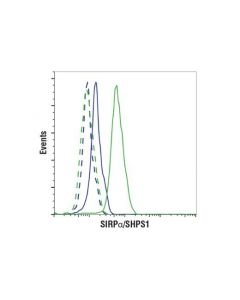 Cell Signaling SIRPalpha/SHPS1 (D6I3M) R; CSIG-13379S
