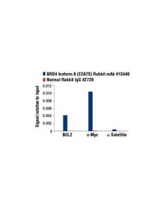Cell Signaling BRD4 (E2A7X) Rabbit mAb -; CSIG-13440S