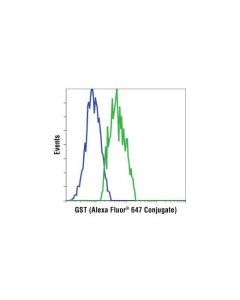 Cell Signaling Gst (26h1) Mouse mAb (Alexa Fluor 647 Conjugate)