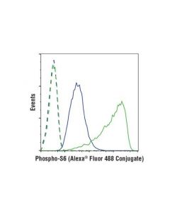 Cell Signaling Phospho-S6 Ribosomal Protein (Ser240/244) (D68f8) Xp Rabbit mAb (Alexa Fluor 488 Conjugate)