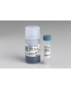 Cell Signaling Blue Loading Buffer Pack ; CSIG-7722S