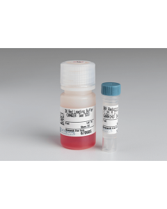 Cell Signaling Red Loading Buffer Pack -; CSIG-7723S