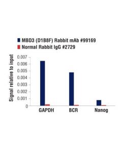 Cell Signaling Mbd3 (D1b8f) Rabbit mAb