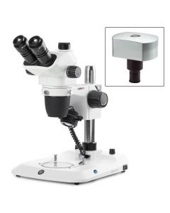 Globe Scientific Euromex Trinocular stereo zoom micros