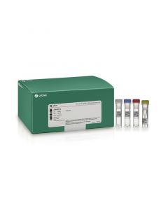 Cytiva Illustra TempliPhi DNA Amplification Kit, 100 rxns, 4 to 18hr Reaction Time, 1pg to 10ng of