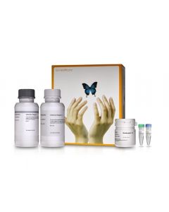 Cytiva Amersham ECL Western Blotting Detection Kit Each kit contains the detection reagent, HRP conjugated