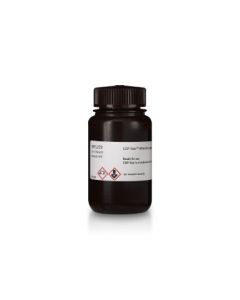 Cytiva CDP-Star Detection Reagent CDP-Star Detection Reagent; GHC-RPN3682