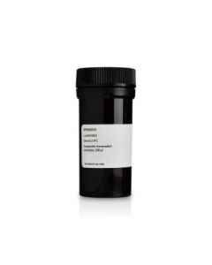 Cytiva Amdex Streptavidin-Alkaline Phosphatase Enzyme Conjug; GHC-RPN4401