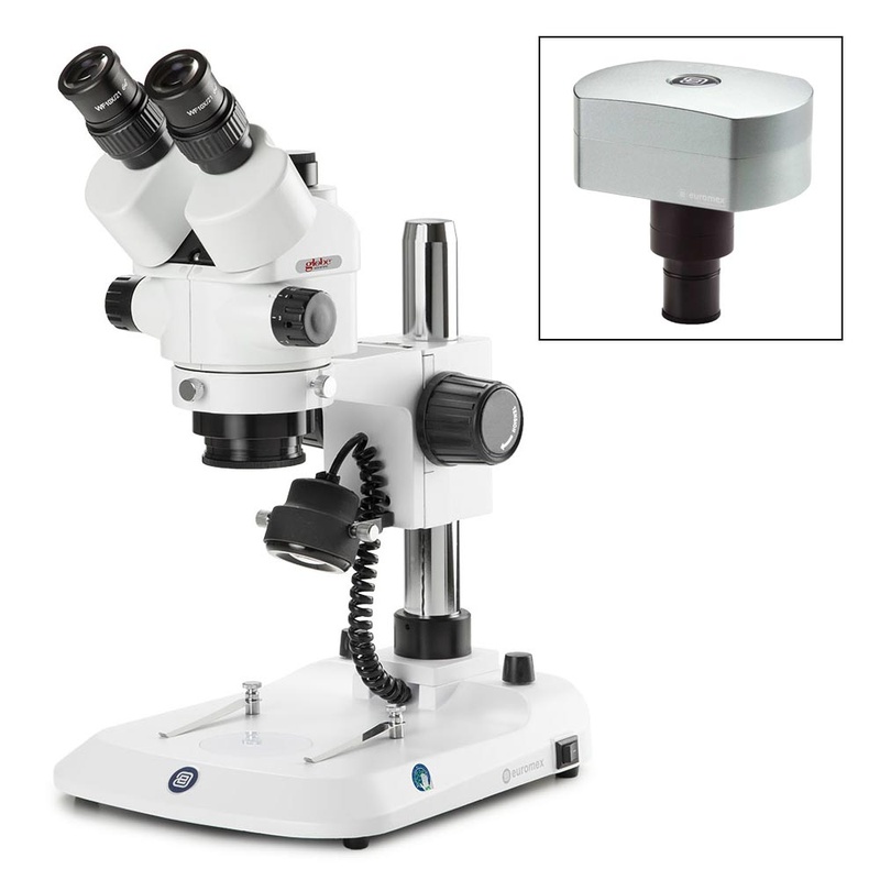 Globe Scientific Euromex Trinocular stereo zoom micros