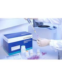 IBI Scientific Mini I-Blue Plasmid Kit 4 Prep Sample Kit