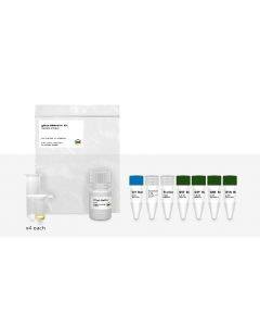 IBI Sci gmax Mini Gen DNA Kit-4 Prep Blood & Tissu; IB47280
