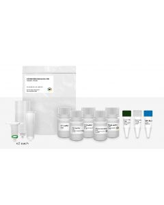 IBI Sci cfDNARNA Extraction Kit Is Designed For Ra; IB47720
