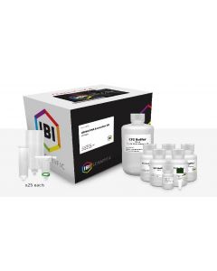 IBI Sci cfDNARNA Extraction Kit Is Designed For Ra; IB47721