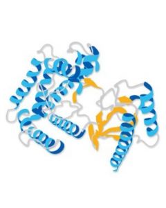 Millipore Vegf Protein, Human Recombinant