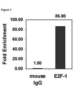 Millipore Chipab+ E2f-1 - Chip Validated Antibody And Primer Set