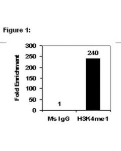 Millipore Chipab+ Monomethyl-Histone H3 (Lys4) - Chip Validated Antibody