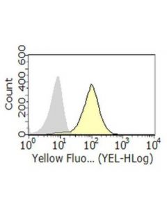 Millipore Anti-Ly108/Slamf6 Antibody, Clone 3e11