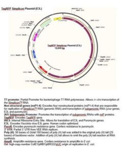 Millipore Tagrfp Simplicon Plasmid (E3l)