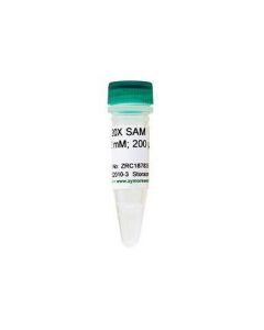 Research Products International 20X SAM, S-adenosylmethionine, 20; RPI-ZE2010-3