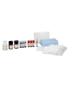 Waters Proteinworks Express Digest Kit, Reagent, Protein Standards