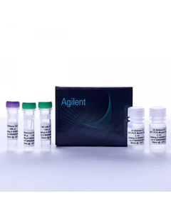 Agilent Brilliant III Ultra-Fast QRT-PCR Master Mix, 600884