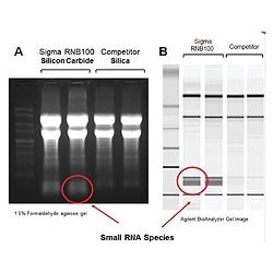 Sigma-Aldrich GenElute™ Total RNA Purification Kit