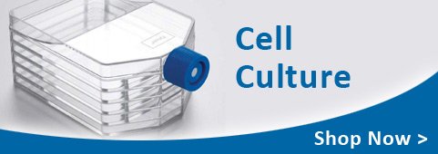 cell culture